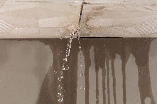 Professional Structural Drying technician working in Saline, MI